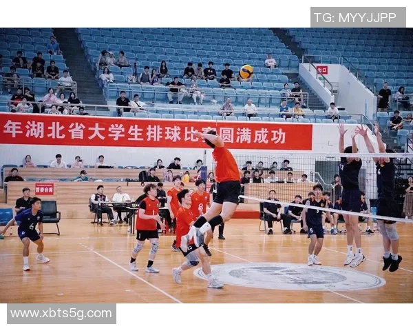 武汉排球队近期表现分析与未来发展方向探讨