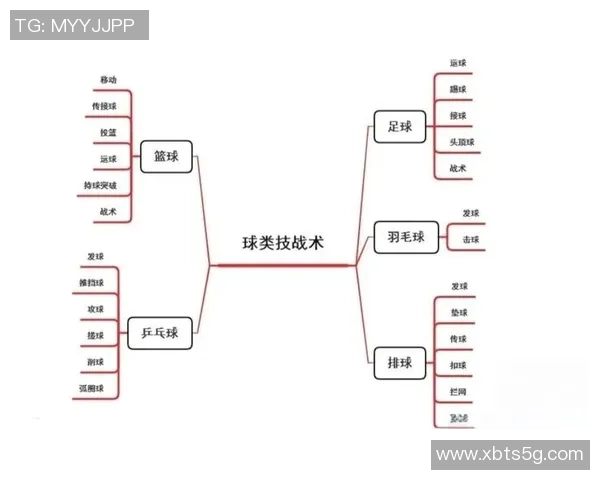 重庆篮球队灵活战术解析与球队发展现状探讨