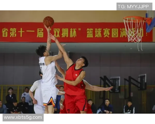 篮球心理素质评比出炉杭州篮球队荣登第九名引关注