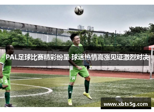 PAL足球比赛精彩纷呈 球迷热情高涨见证激烈对决